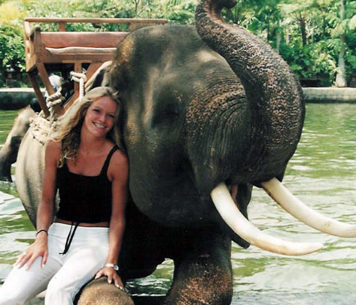 mason elephant safari park and lodge